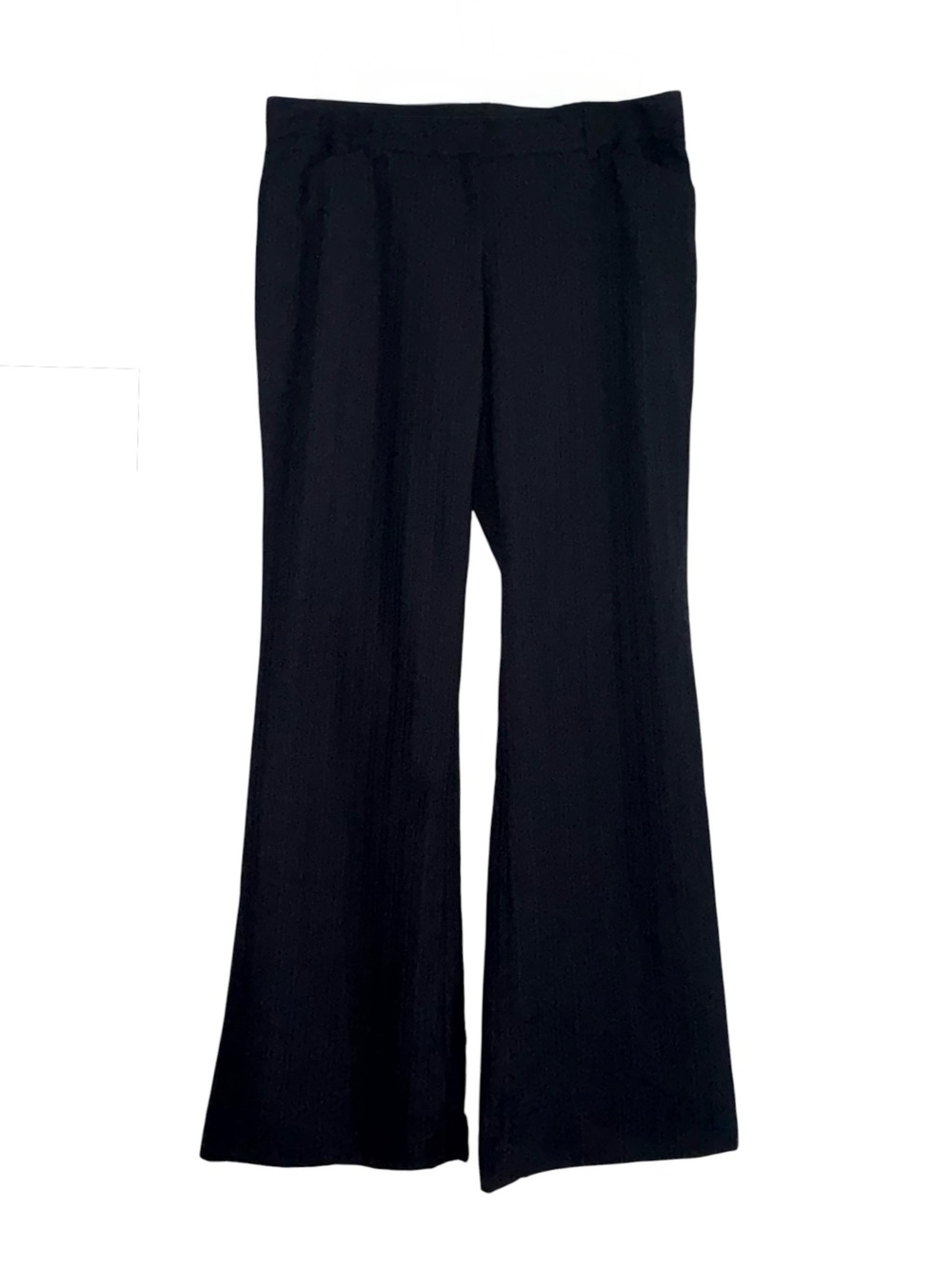 Express Design Studio Editor Pants